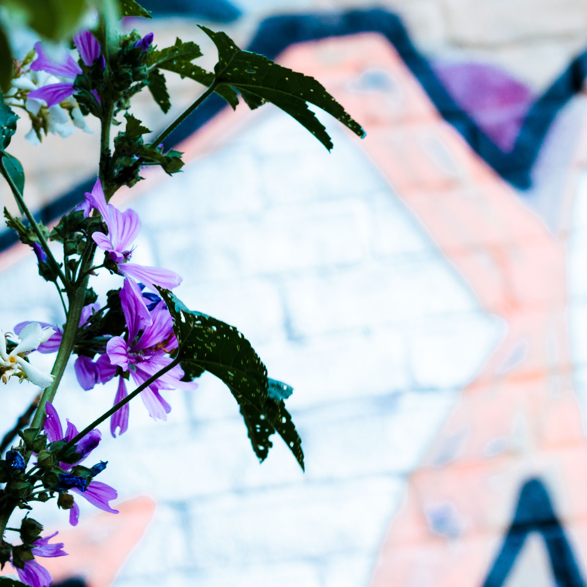 Taken on a canal near Victoria Park, London.